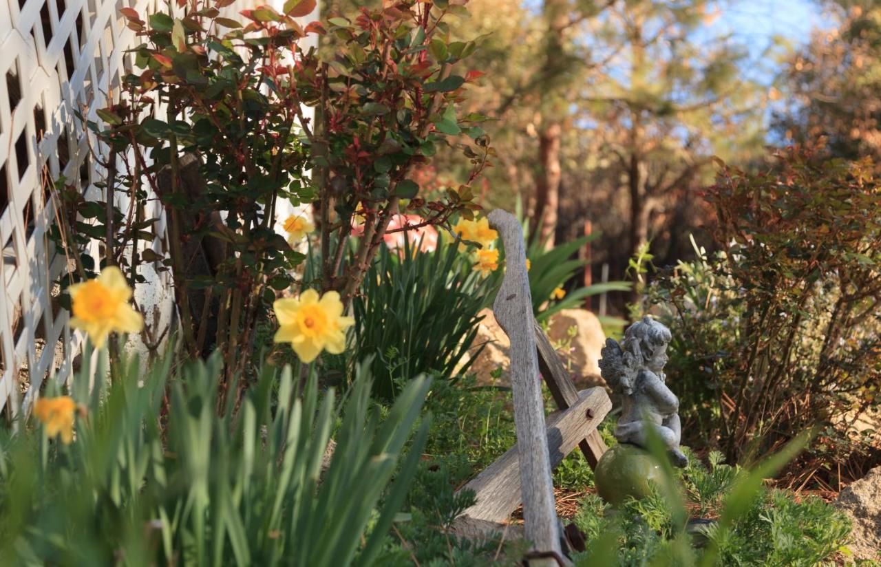 Blackberry Inn At Yosemite Buck Meadows Bagian luar foto
